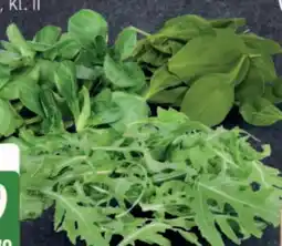 Edeka Edeka Bio Rucola Angebot