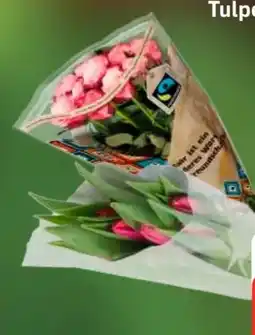 Edeka Tulpen Angebot