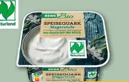 REWE Center Rewe Bio Bio-Speisequark Angebot