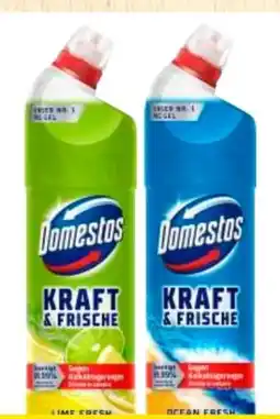 Edeka Domestos WC Gel Kraft & Frische Angebot