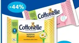 Budni Cottonelle Feuchtes Toilettenpapier Angebot
