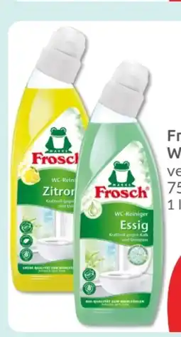 Budni Frosch WC-Reiniger Angebot
