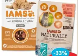 Budni Iams Katzennahrung Angebot