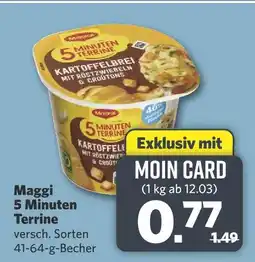 Combi Maggi 5 minuten terrine Angebot