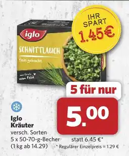 Combi Iglo kräuter Angebot