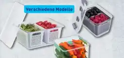 Aldi Nord Crofton Kühlschrankbehälter Angebot