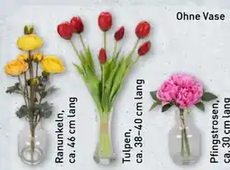 Aldi Nord Home Creation Künstlicher Blumenstrauß Angebot