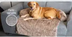 Aldi Nord Cachet & Romeo Sofaschutz Angebot