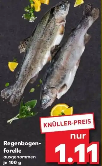 Kaufland Regenbogenforelle Angebot