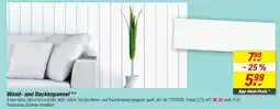 toom Baumarkt Wand- und Deckenpaneel Angebot