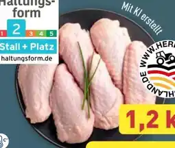 Aldi Nord Meine Metzgerei Putenflügel Angebot