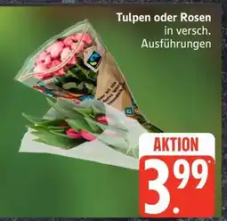 Edeka Tulpen oder Rosen Angebot