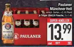 Edeka Paulaner Münchner Hell Angebot