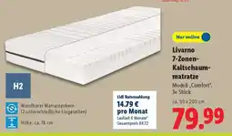 Lidl Livarno 7-Zonen-Kaltschaummatratze Angebot