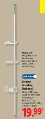 Lidl Livarno Teleskop-Badregal Angebot