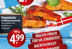 Famila Nord Ost Flammlachs in Wikingermarinade Angebot