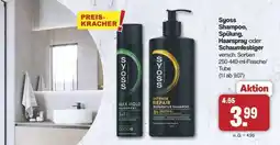 Famila Nord Ost syoss Shampoo, Spülung, Haarspray oder Schaumfestiger Angebot