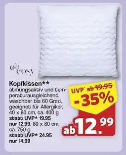 Famila Nord Ost Kopfkissen Angebot