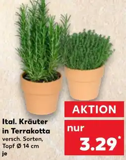 Kaufland Ital. Kräuter in Terrakotta Angebot