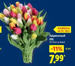 Lidl Tulpenstrauß XXL Angebot