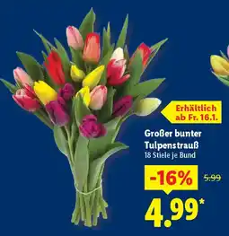 Lidl Großer bunter Tulpenstrauß Angebot