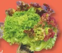 Edeka Edeka Herzstücke Ballensalat Trio-Mix Angebot