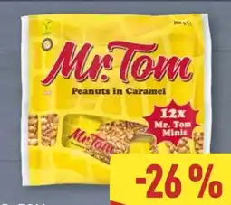 Aldi Nord Hosta Mr.Tom Minis Angebot