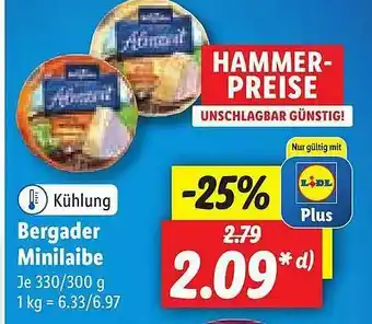 Lidl Bergader Minilaibe Angebot