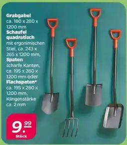 NETTO Grabgabel, Schaufel quadratisch, Spaten, Flachspaten Angebot