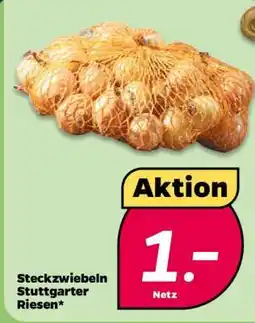 NETTO Steckzwiebeln Stuttgarter Riesen Angebot