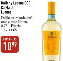 Galeria Markthalle Italien / Lugana DOP Cà Maiol Lugana Angebot
