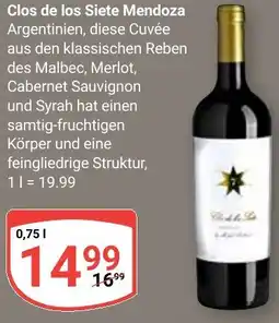 Globus Clos de los Siete Mendoza Angebot