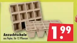 Mäc Geiz Anzuchtschale Angebot
