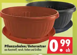 Mäc Geiz Pflanzschalen/Untersetzer Angebot