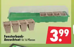 Mäc Geiz Fensterbank- Anzuchtset Angebot