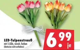 Mäc Geiz LED-Tulpenstrauß Angebot