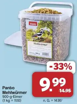 Famila Nord West Panto Mehlwürmer Angebot