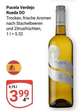 Globus Pucela Verdejo Rueda DO Angebot