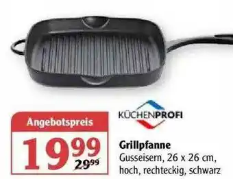 Globus Grillpfanne Angebot