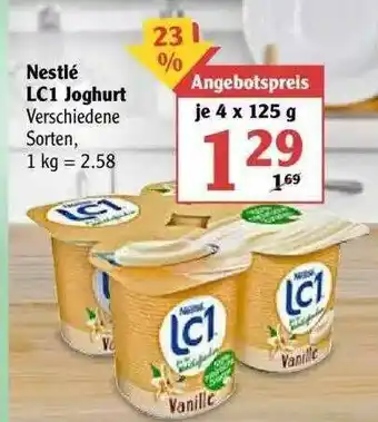 Globus Nestlé Lc1 Joghurt Angebot