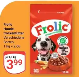 Globus Frolic Hundetrockenfutter Angebot