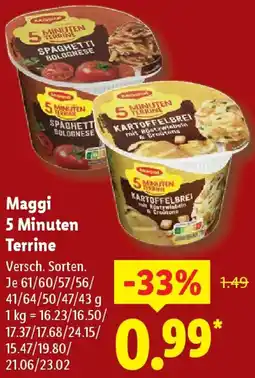 Lidl Maggi 5 Minuten Terrine Angebot