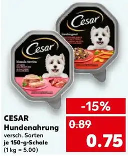 Kaufland CESAR Hundenahrung Angebot