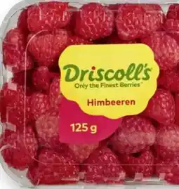 Scheck-in-Center Driscoll's Himbeeren Angebot
