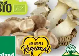 Scheck-in-Center Unsere Heimat Echt & Gut Bio Shii Take Angebot