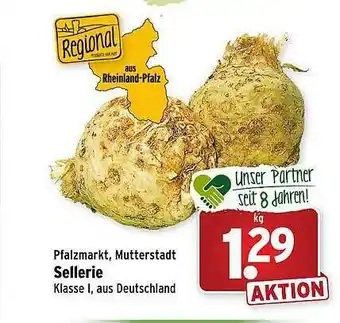 Wasgau Pfalzmarkt, Mutterstadt Sellerie Angebot