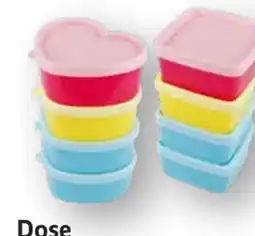 Scheck-in-Center Dose Angebot