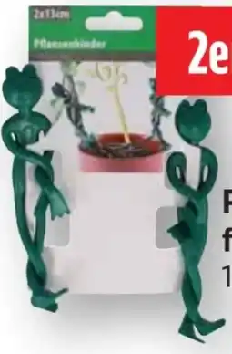 Scheck-in-Center Pflanzenfrosch 2er-Set Angebot