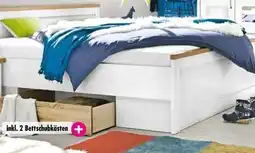 Möbel Boss Bett Luca Angebot