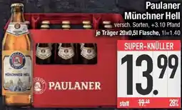 E-Center Paulaner Münchner Hell Angebot